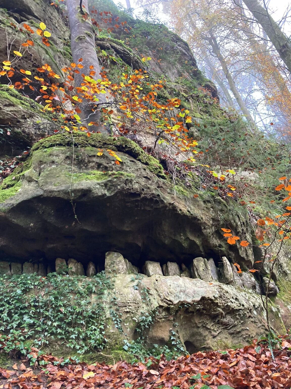 IMG-20241110-WA0015-1152x1536