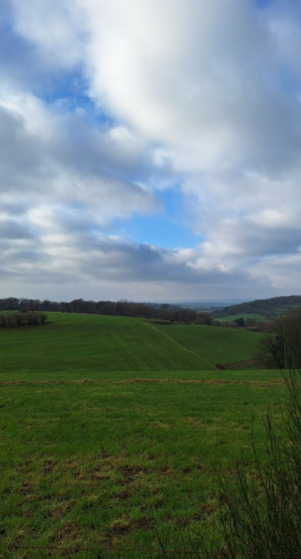 foto voerstreek verkenning 2025